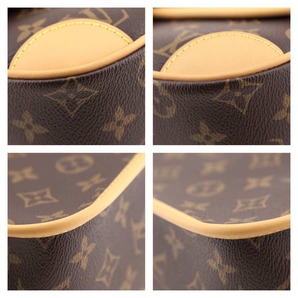Louis Vuitton Monogram Diane Bag