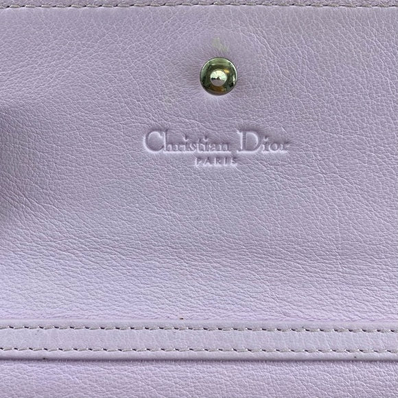 Dior Addict Rendez Vous on Chain Leather pochette TWS