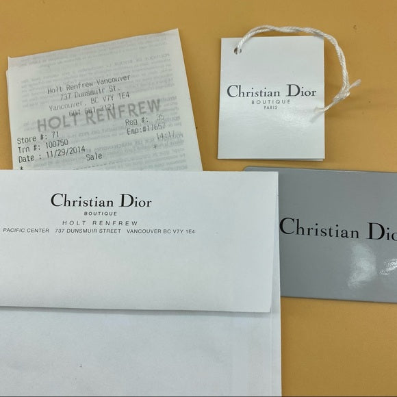 Dior Addict Rendez Vous on Chain Leather pochette TWS