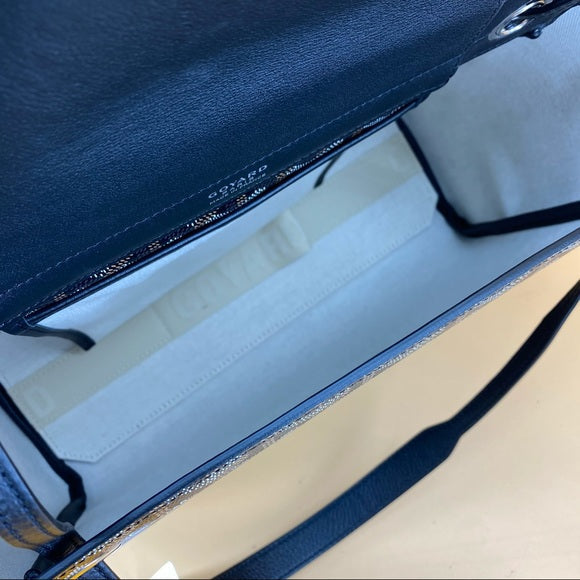 GOYARD Rouette pm two-way bag