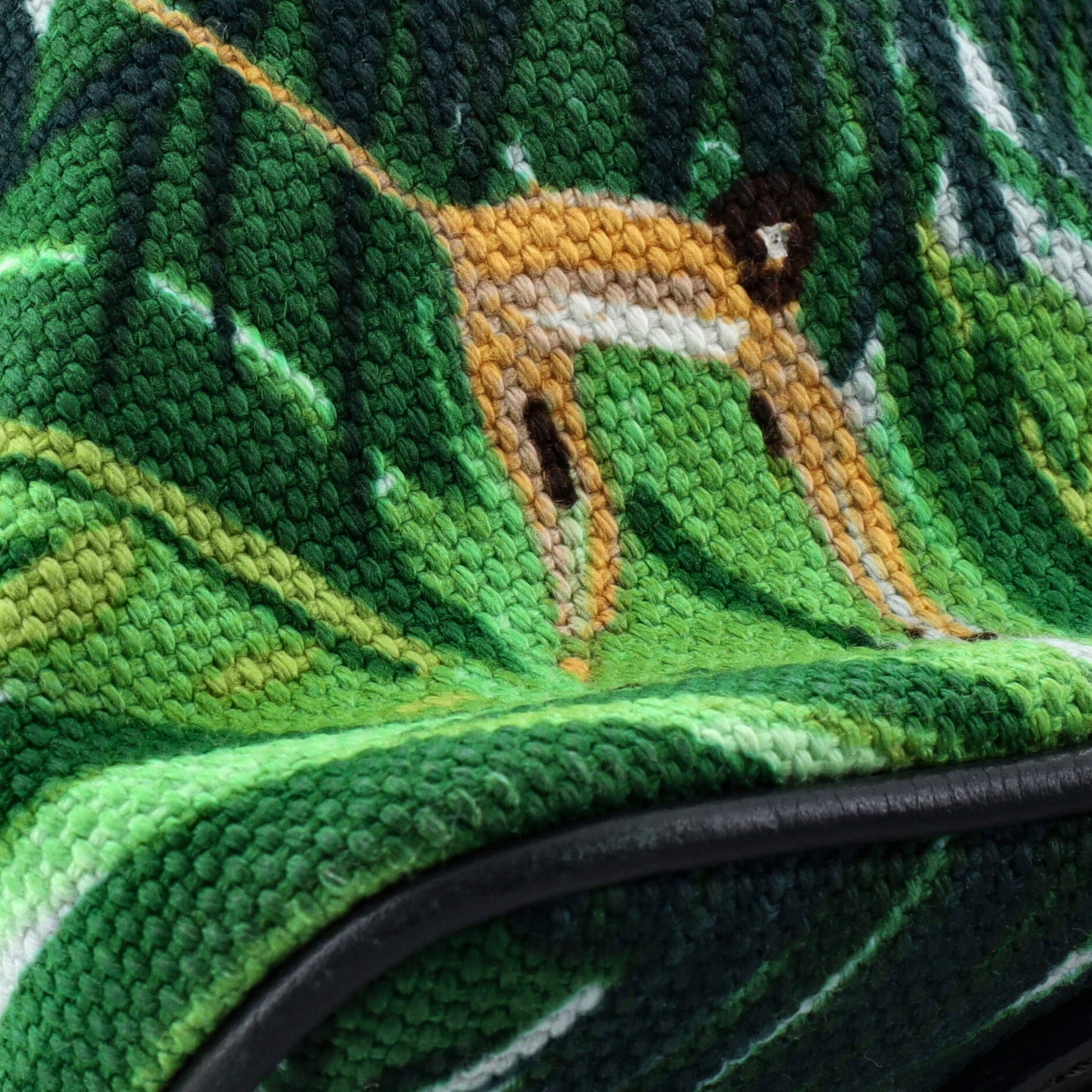 Ailleurs Cabas Limited Edition Printed Canvas PM