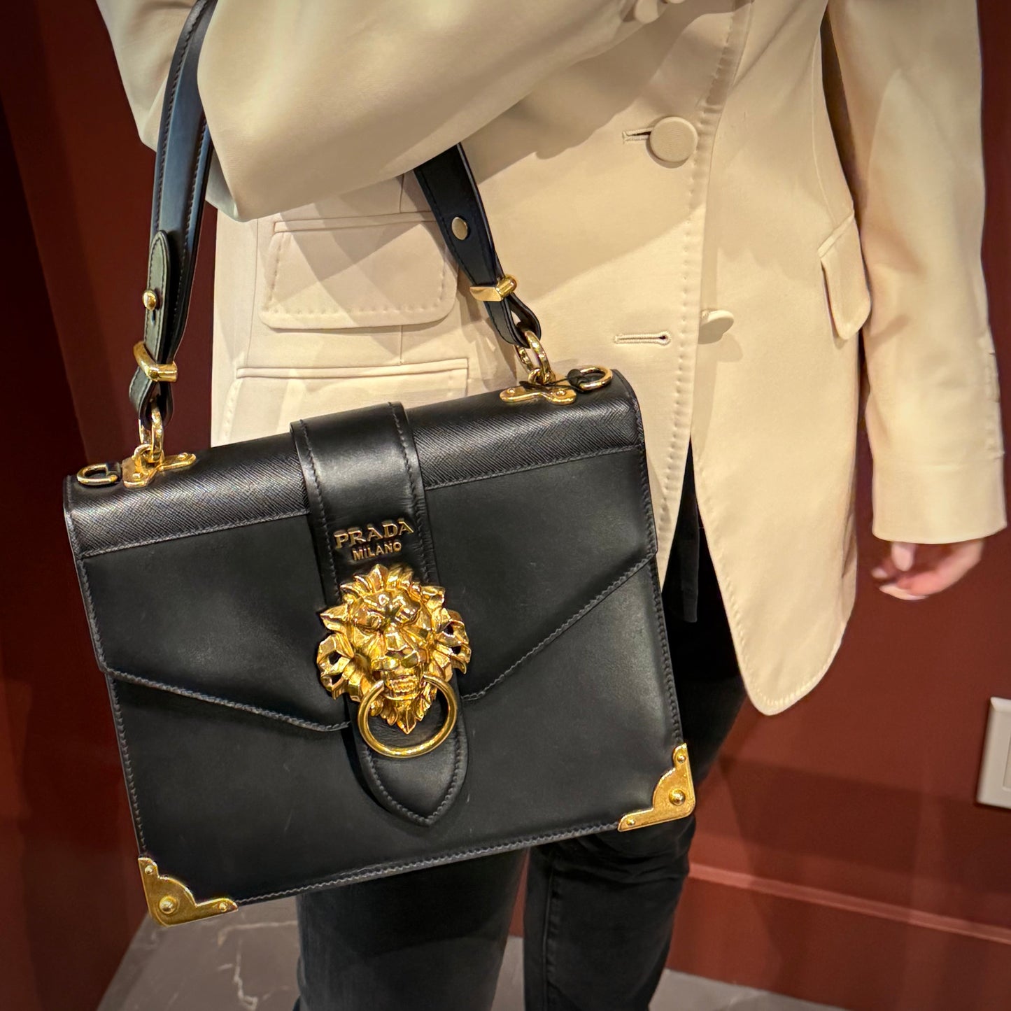 Prada Soft Saffiano Lions Head Cahier Shoulder Bag
