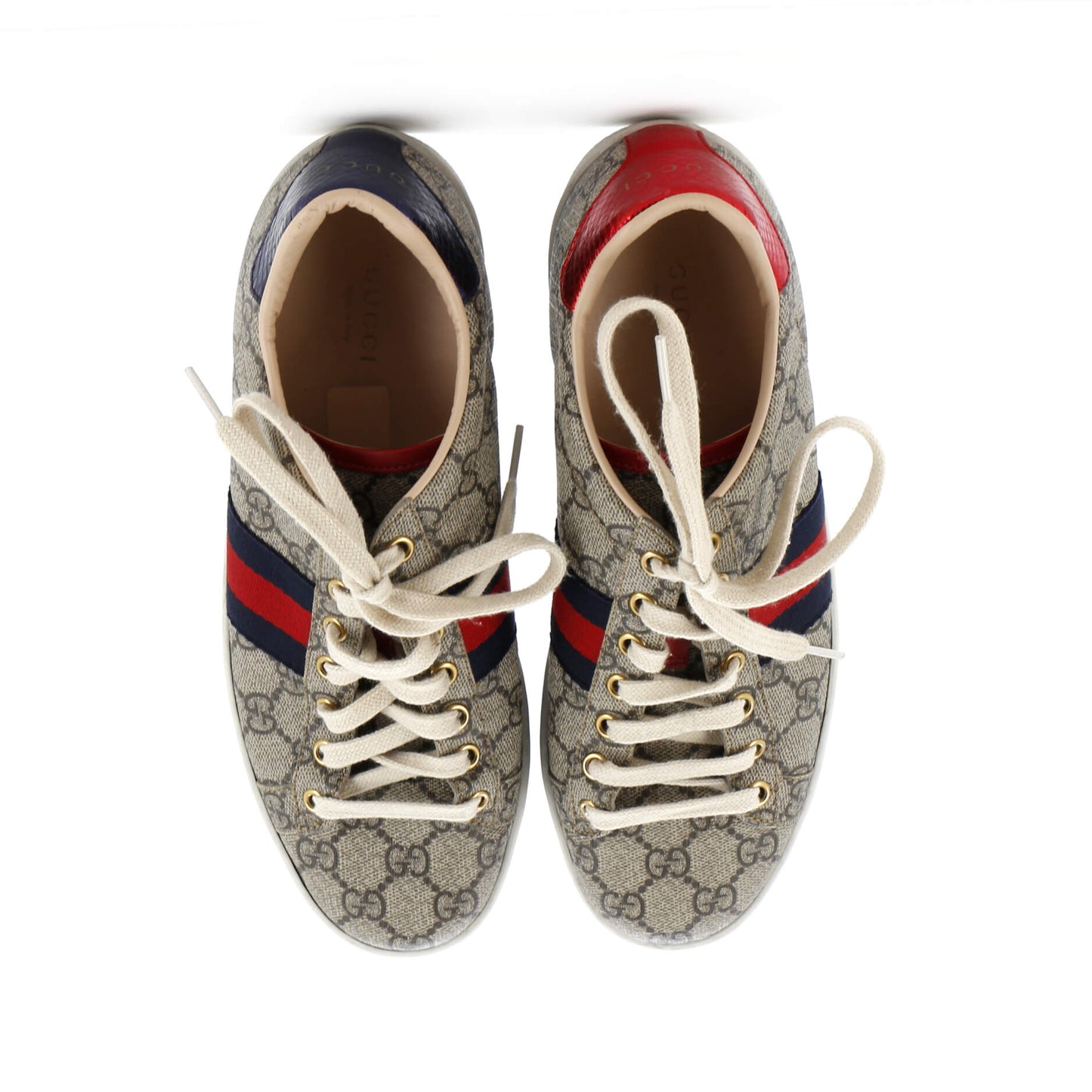 Ace Sneakers GG Coated Canvas