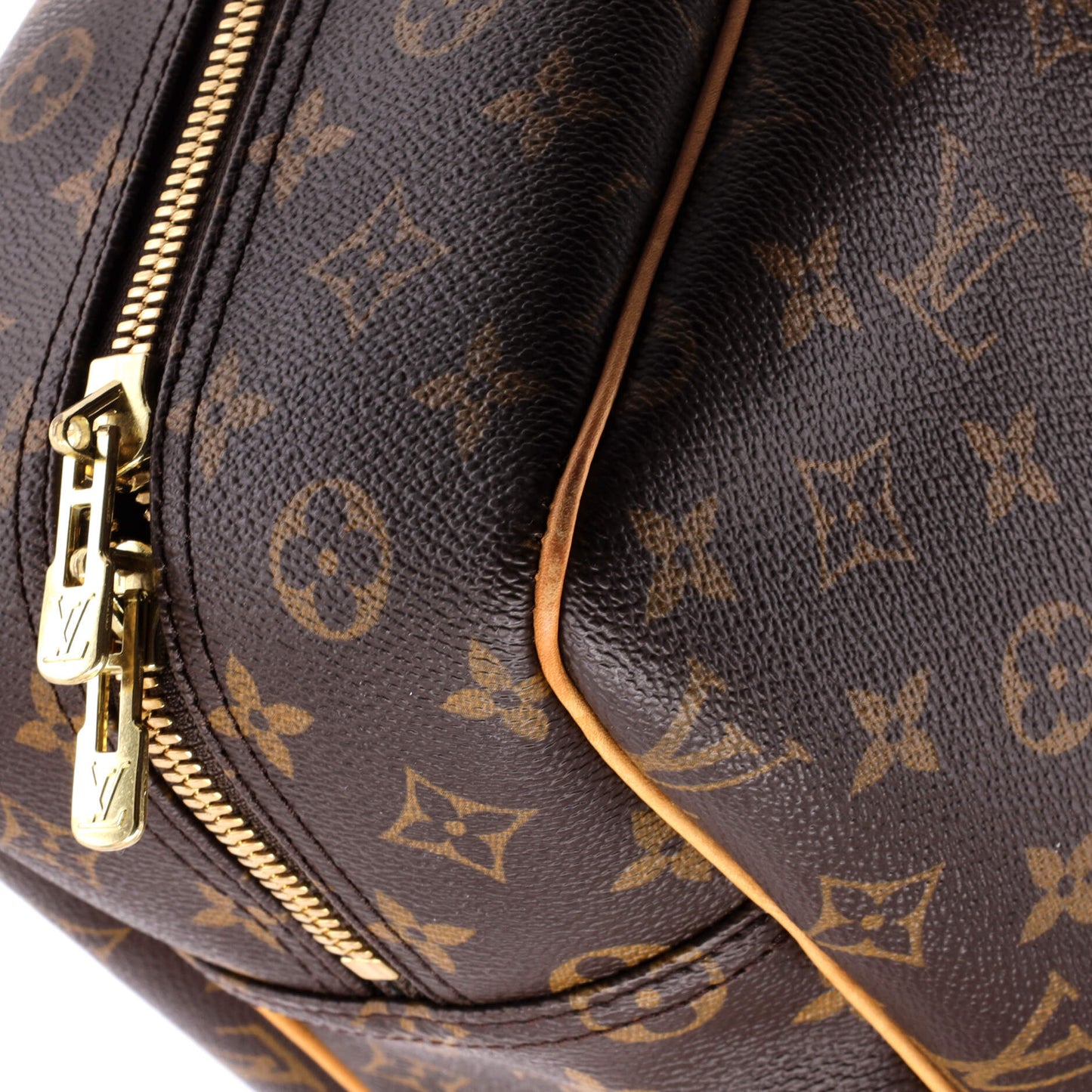 Alize Bag Monogram Canvas 1 Poche