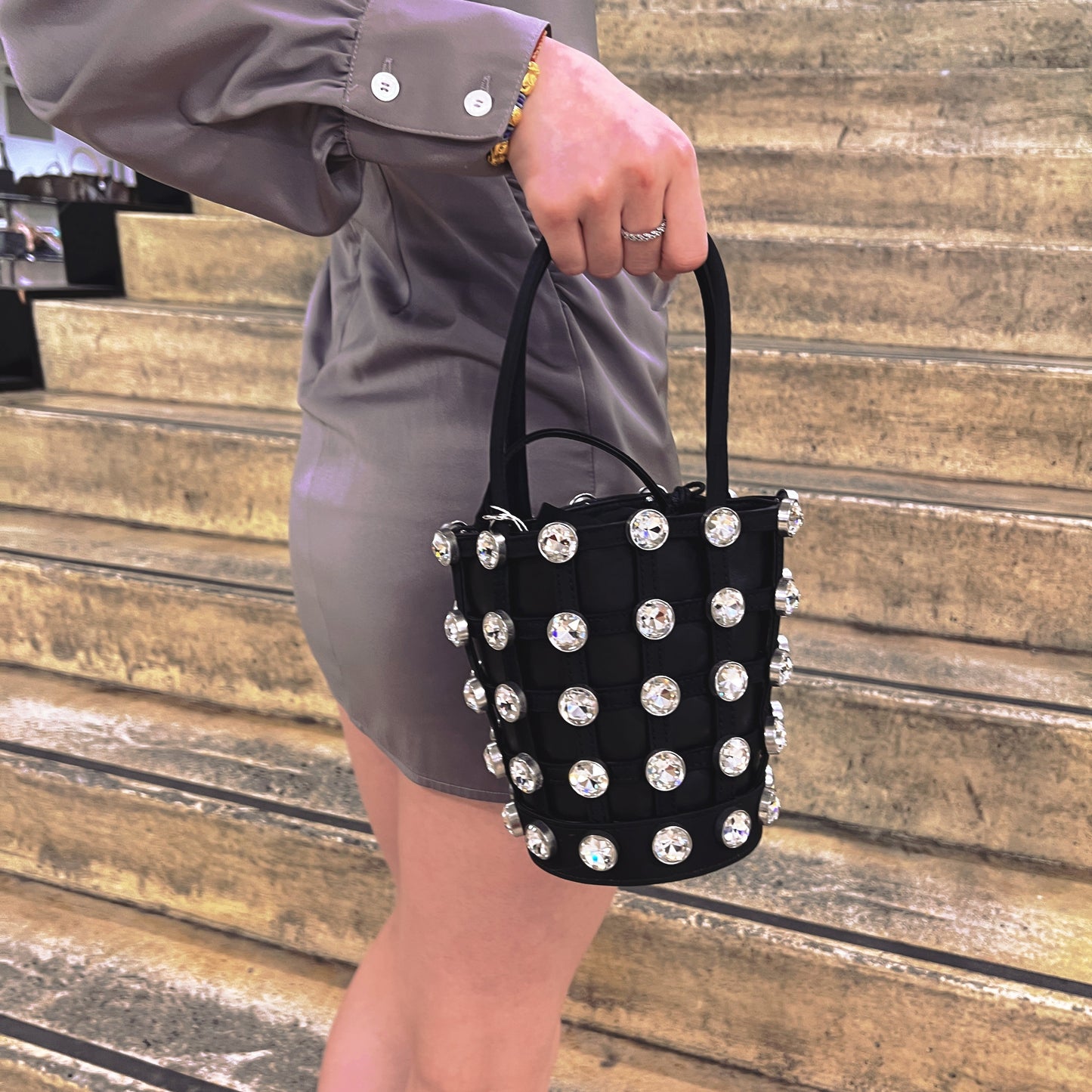 Alexander Wang Leather Crystal Roxy Mini Bucket bag