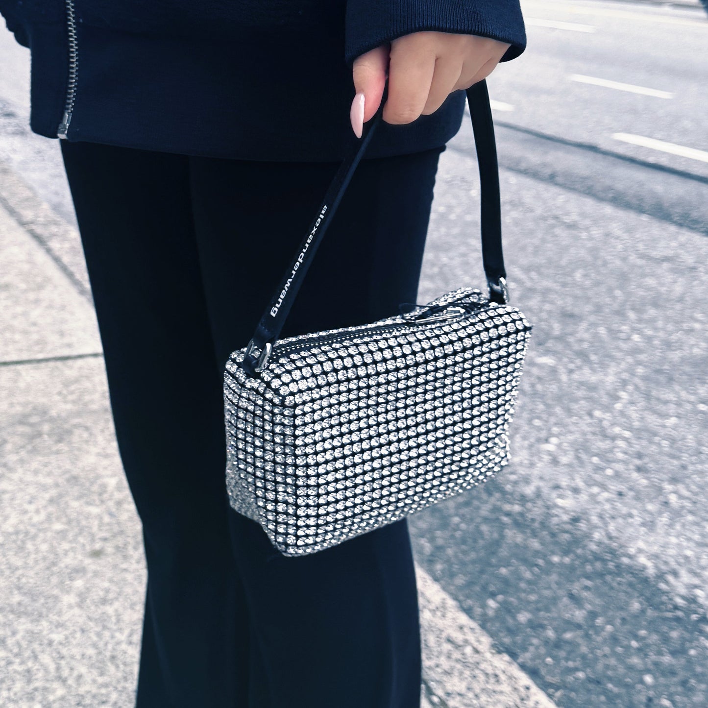 Alexander Wang Crystal Mesh Pouch Bag