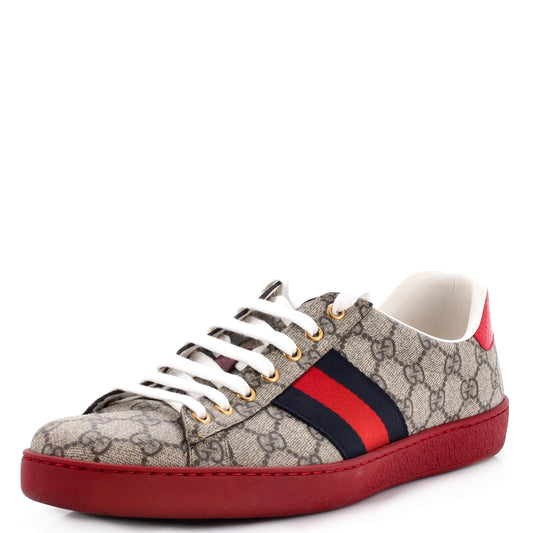 Ace Sneakers GG Coated Canvas