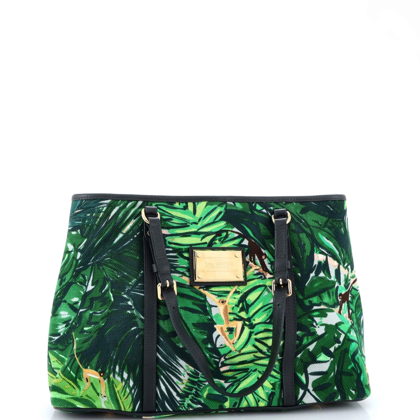 Ailleurs Cabas Limited Edition Printed Canvas PM