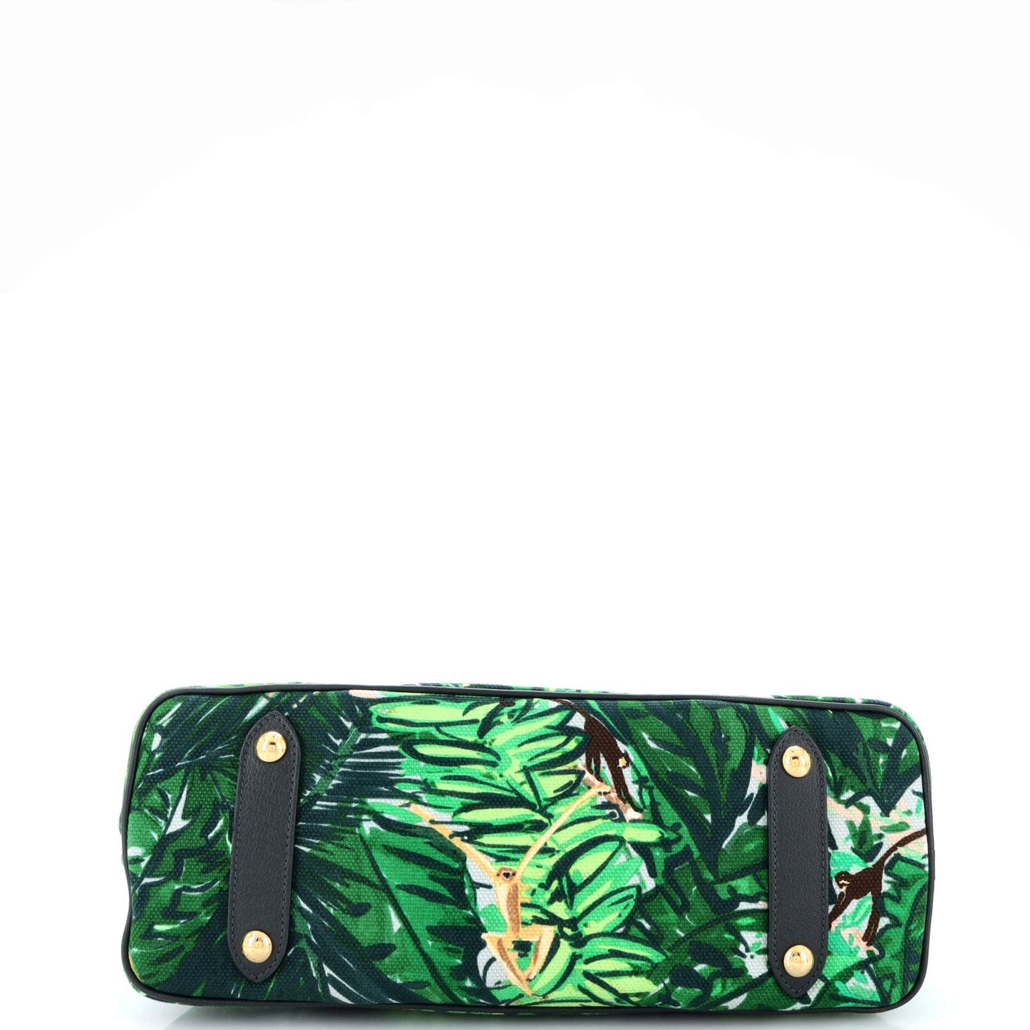 Ailleurs Cabas Limited Edition Printed Canvas PM