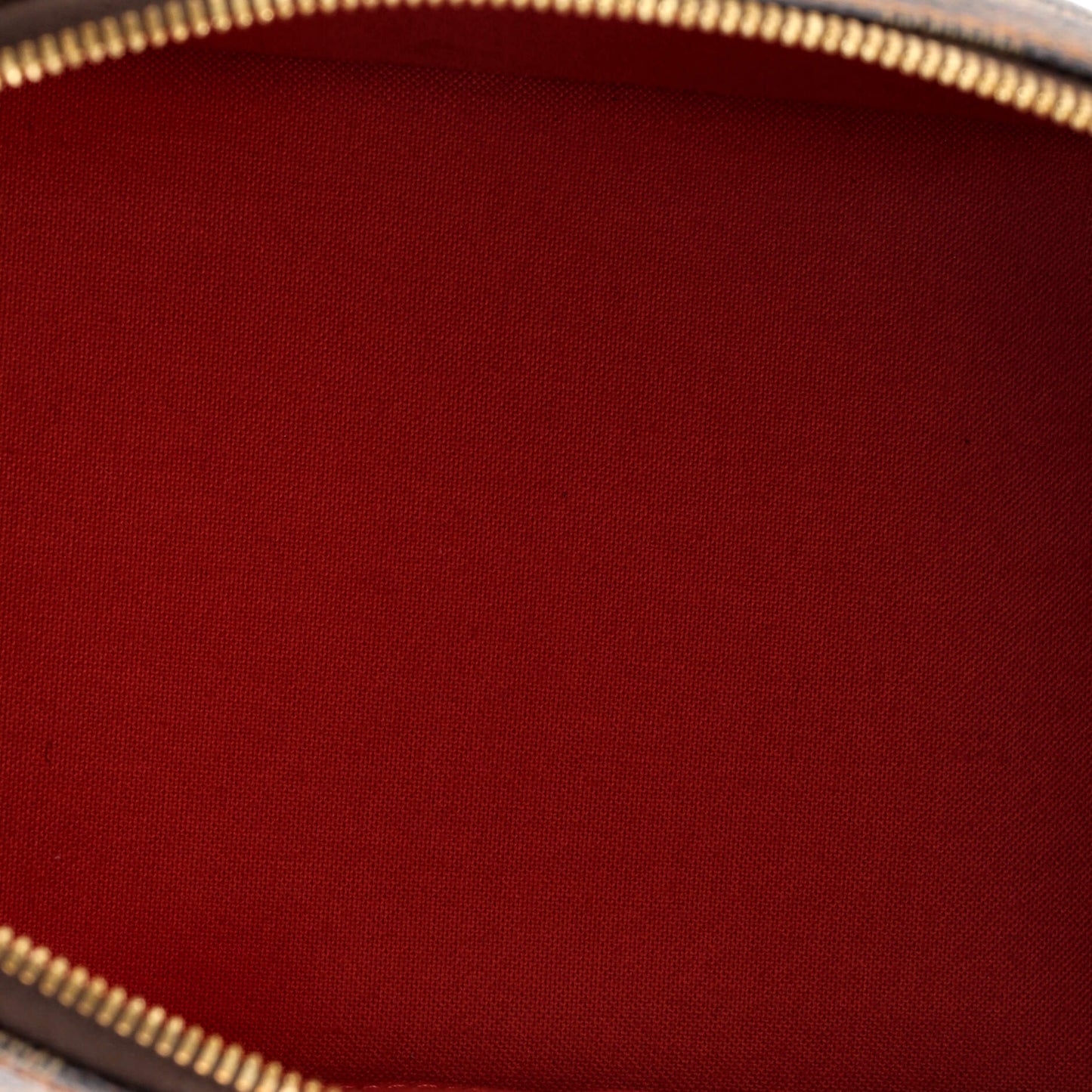 Alma Handbag Damier PM