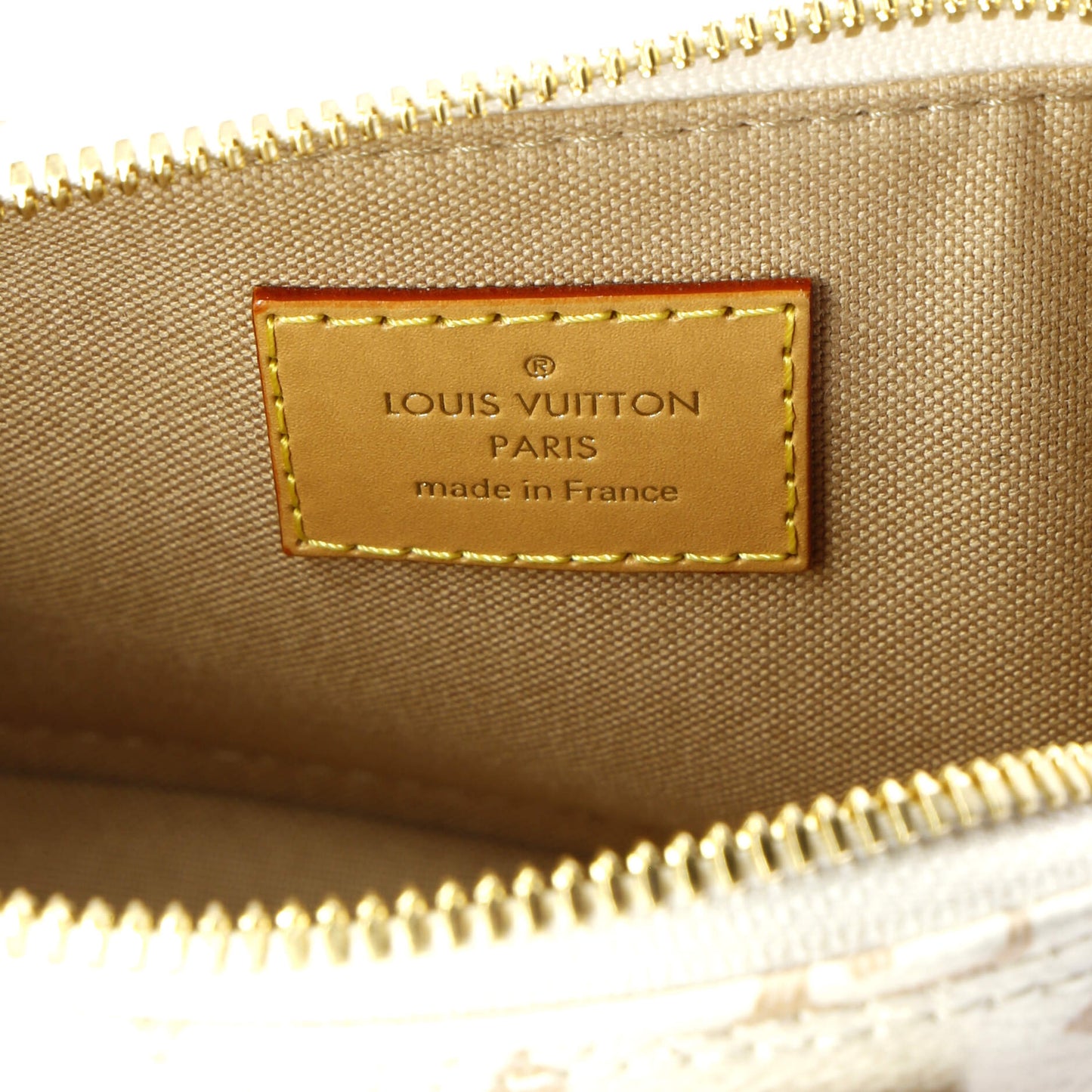 Alma Handbag Monogram Dune Canvas Nano